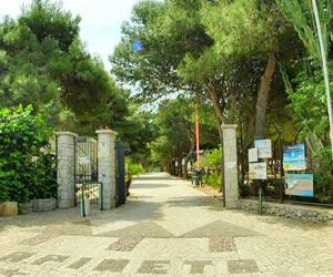 San Vito Lo Capo Camping La Pineta